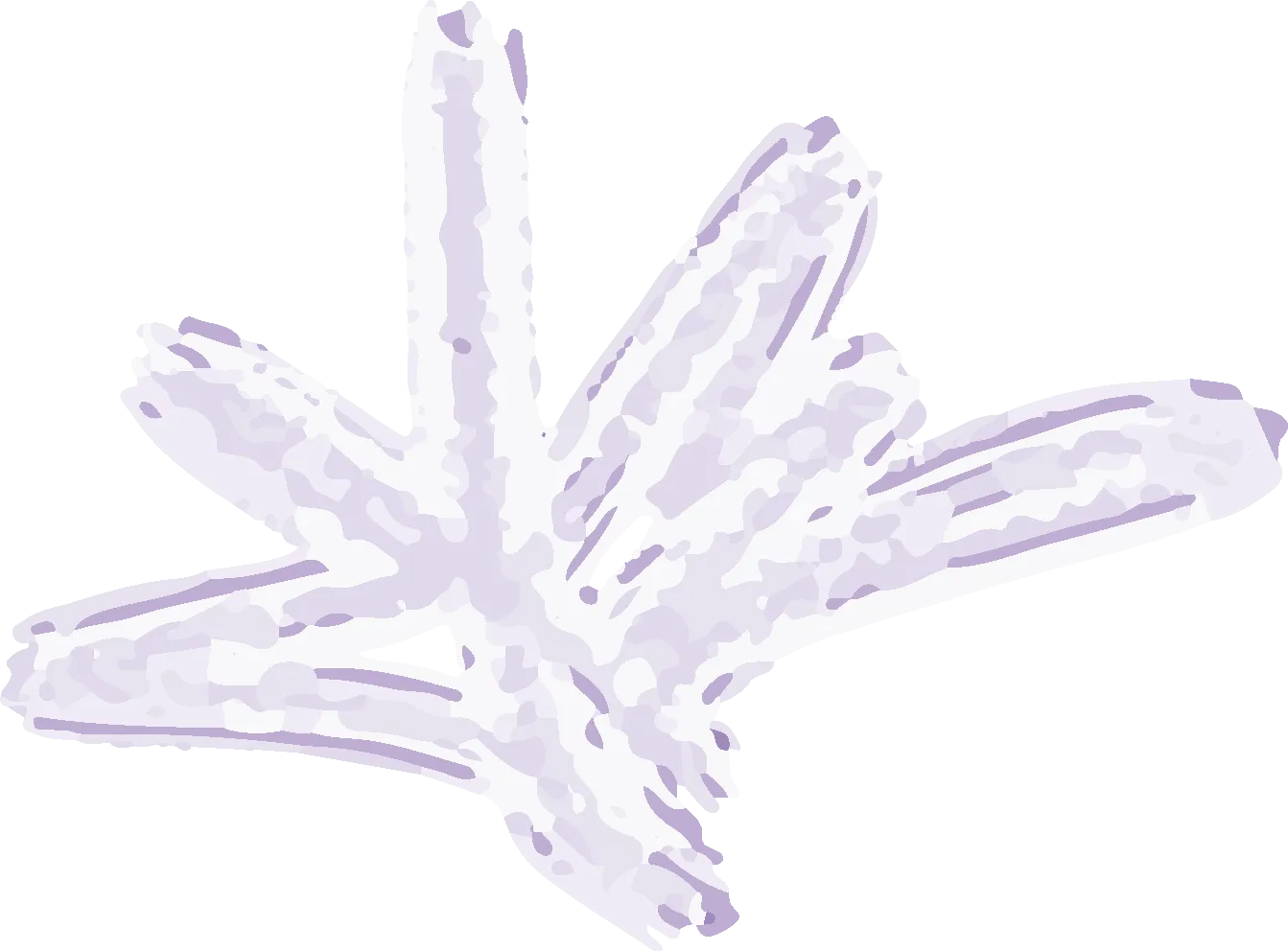 No alternate text