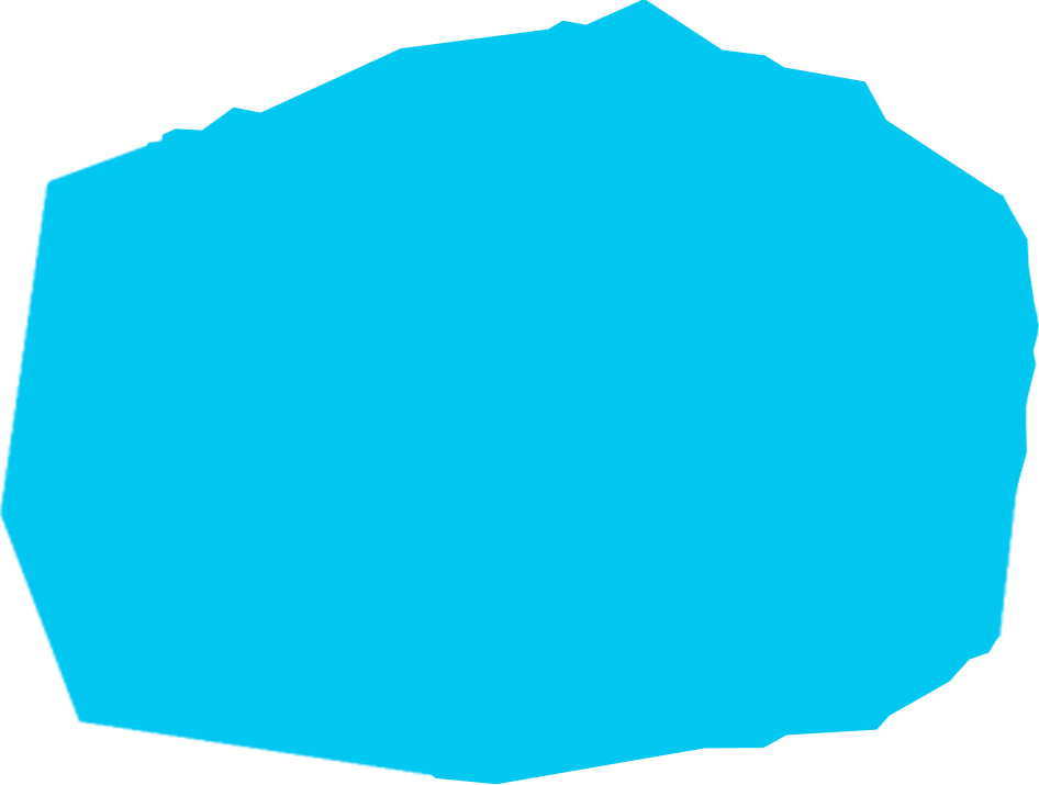 No alternate text