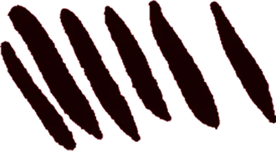No alternate text
