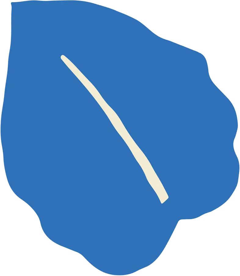 No alternate text